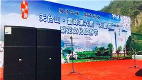 浙江舞臺音響設(shè)備 雙15寸舞臺音箱