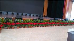 中山市卓雅外語學校