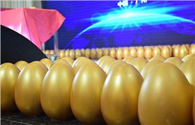 萬昌“砸金蛋”晚宴