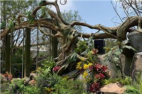 爵士龍戶外音響系統(tǒng)護(hù)航廈門某城市公園煥新