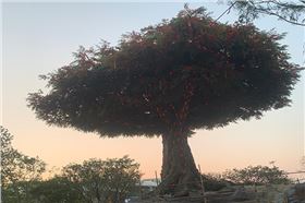 爵士龍戶外音響系統(tǒng)護(hù)航廈門某城市公園煥新