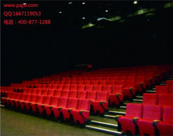 爵士龍禮堂音響設(shè)備工程 法國(guó)阿爾薩斯禮堂案例2