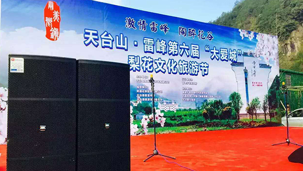 浙江舞臺(tái)音響設(shè)備 雙15寸舞臺(tái)音箱