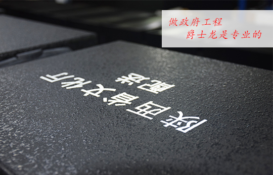 做陜西政府文化下鄉項目 萬昌音響是專業的