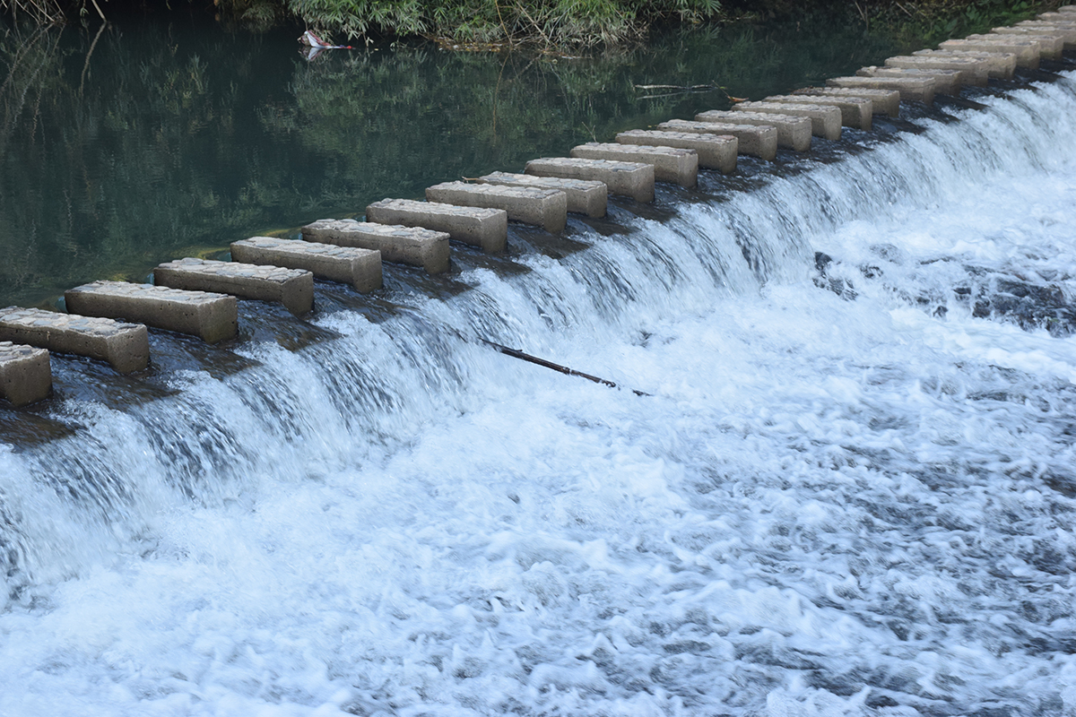 2017年花都區(qū)工商聯(lián)通訊員(韶關(guān)學(xué)院)培訓(xùn)班