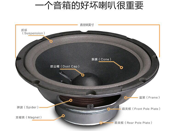 兩分頻專業(yè)會議室音響 爵士龍M1音箱