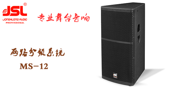 兩分頻專業舞臺音響 爵士龍MS系列音箱