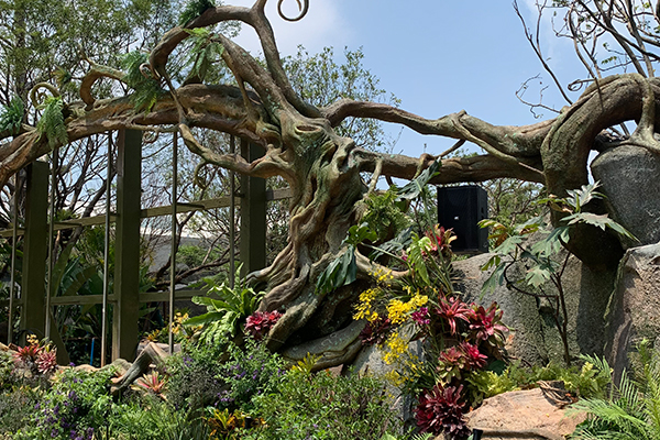 爵士龍戶外音響系統(tǒng)護航廈門某城市公園煥新