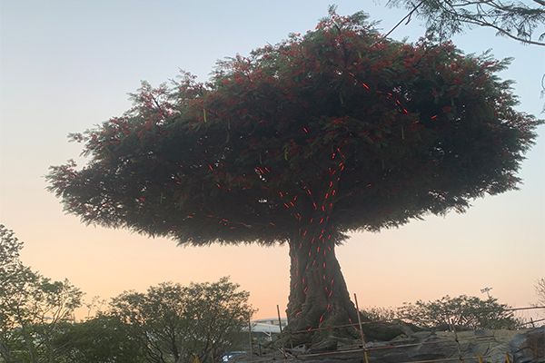 爵士龍戶外音響系統(tǒng)護航廈門某城市公園煥新