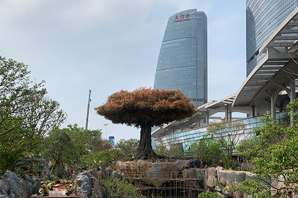 爵士龍戶外音響系統(tǒng)護航廈門某城市公園煥新