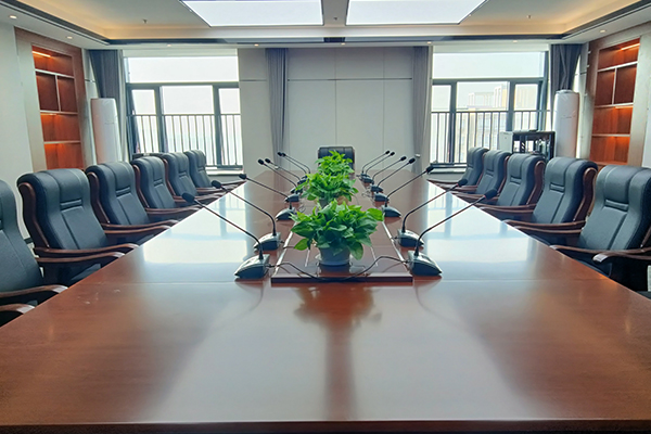 爵士龍音響賦能長沙地質勘察院會議室聲學升級