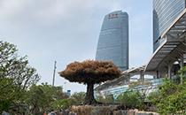 爵士龍戶(hù)外音響系統(tǒng)護(hù)航廈門(mén)某城市公園煥新